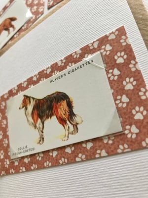 Image of Dog Breeds