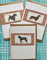 Image 3 of Dog Breeds