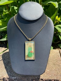 Image 3 of Barrel Cactus