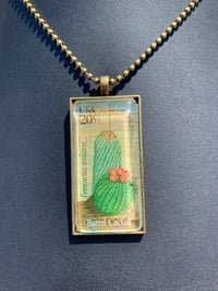 Image 1 of Barrel Cactus