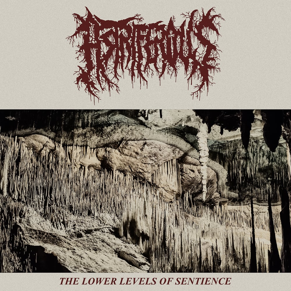 ASTRIFERIOUS "The Lower Levels Of Sentience" Mini CD