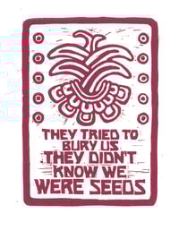 They didn't know we were seeds (2020)