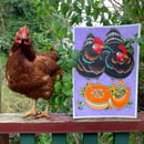 Image of Best Friends Forever