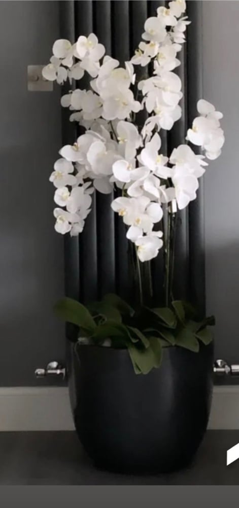 Image of The original floor standing orchid with butterfly orchids 