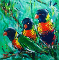 Image 1 of Rainbow Lorikeets 2