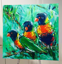 Image 2 of Rainbow Lorikeets 2