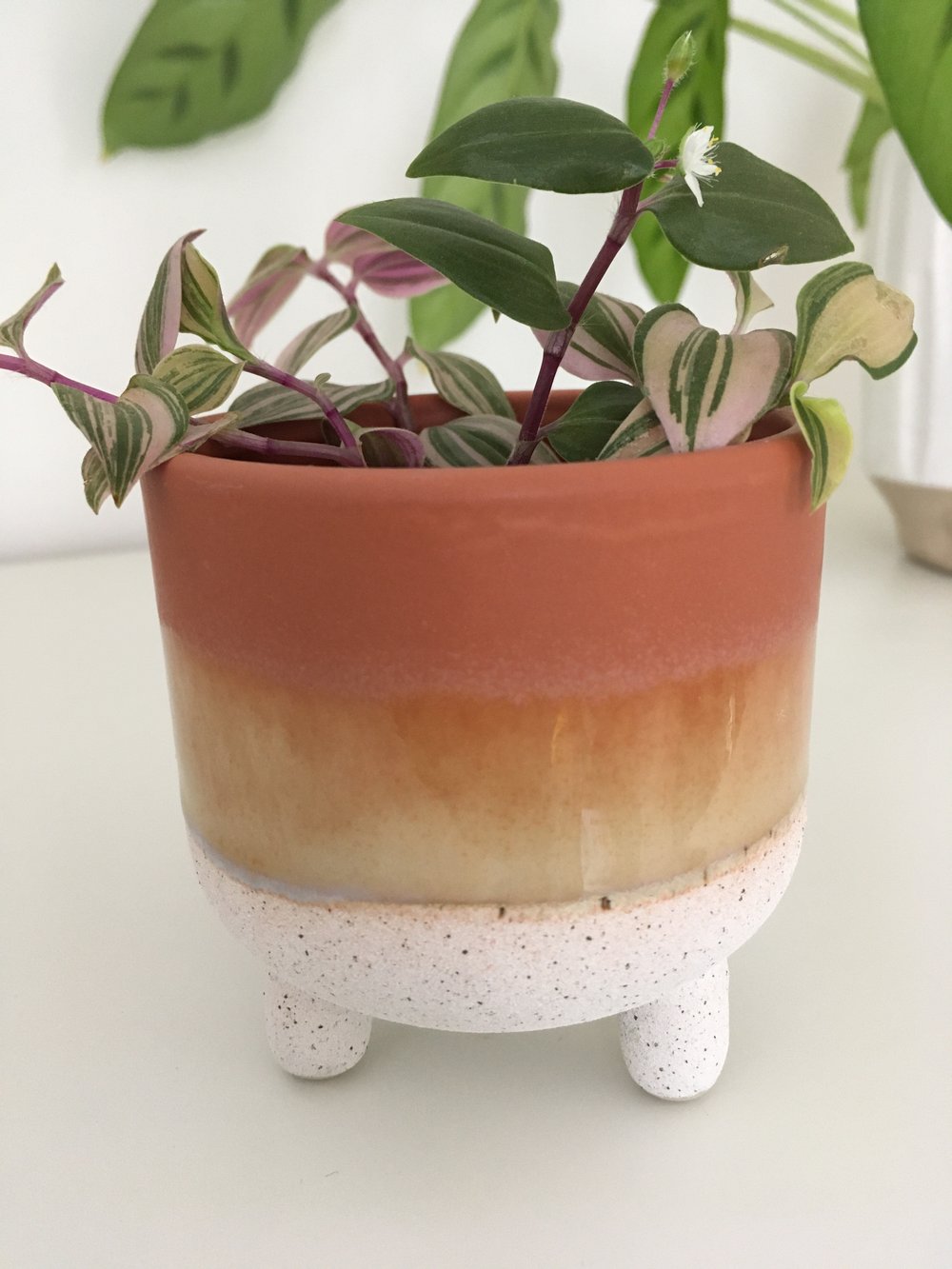 Image of Sass & Belle - Mojave Glaze Brown Planter