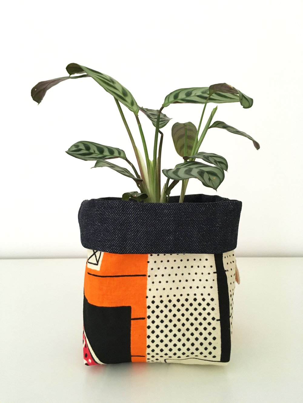 Image of Orange Fifty