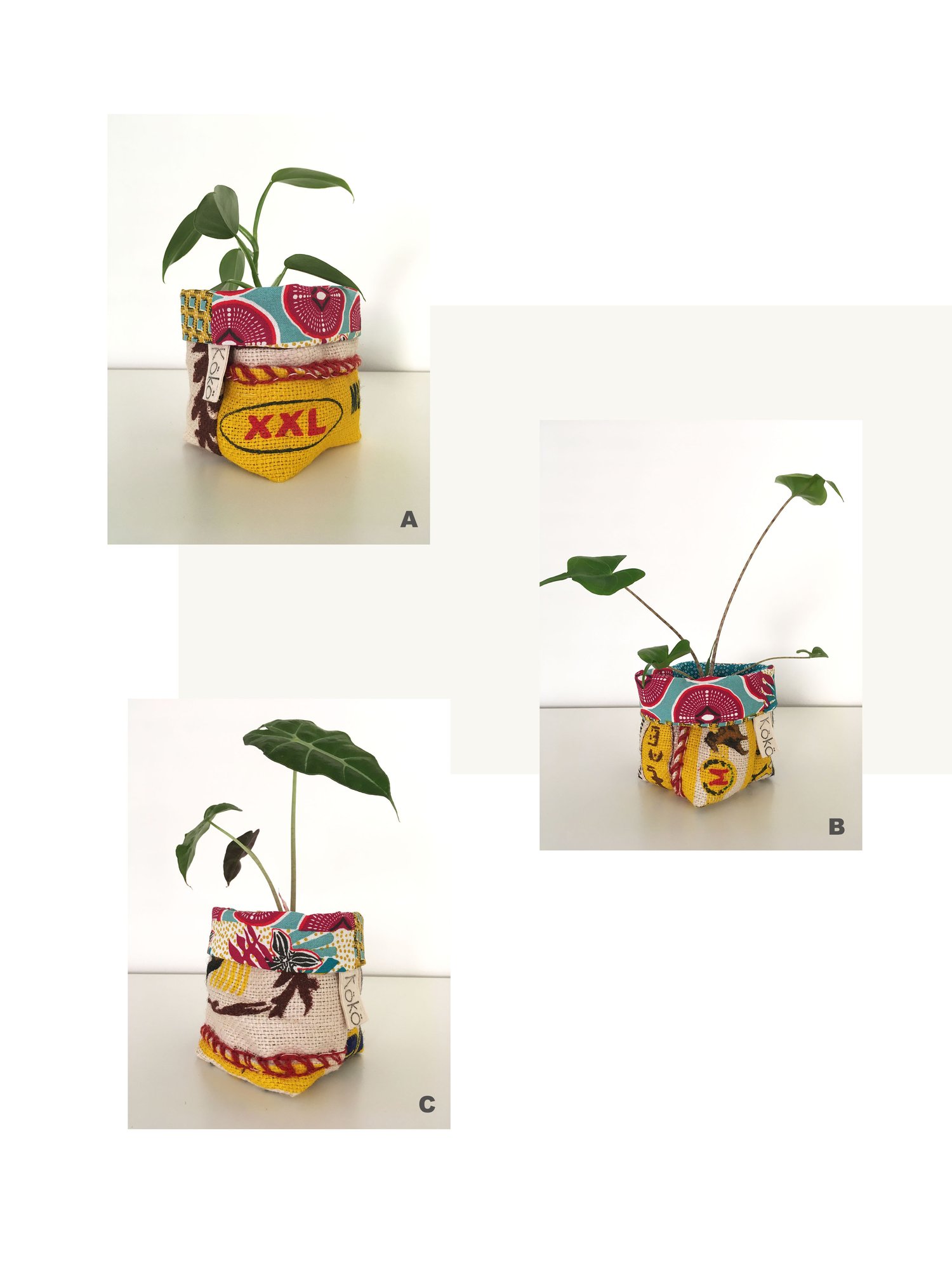 Image of Multi Rice