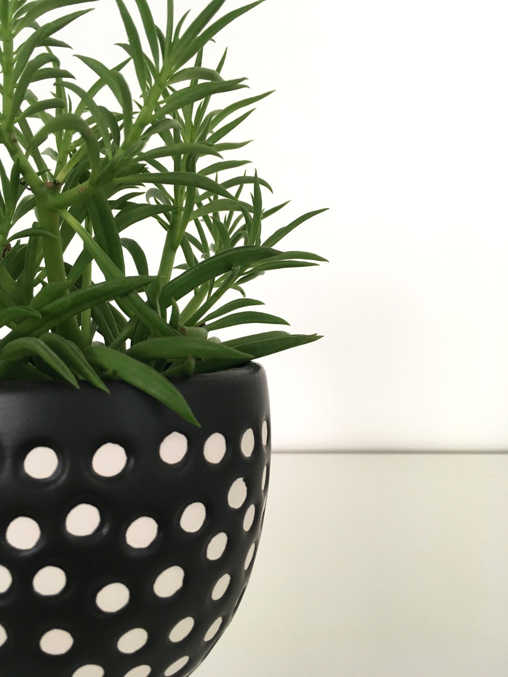 Image of Sass & Belle - Spotted Planter on Legs