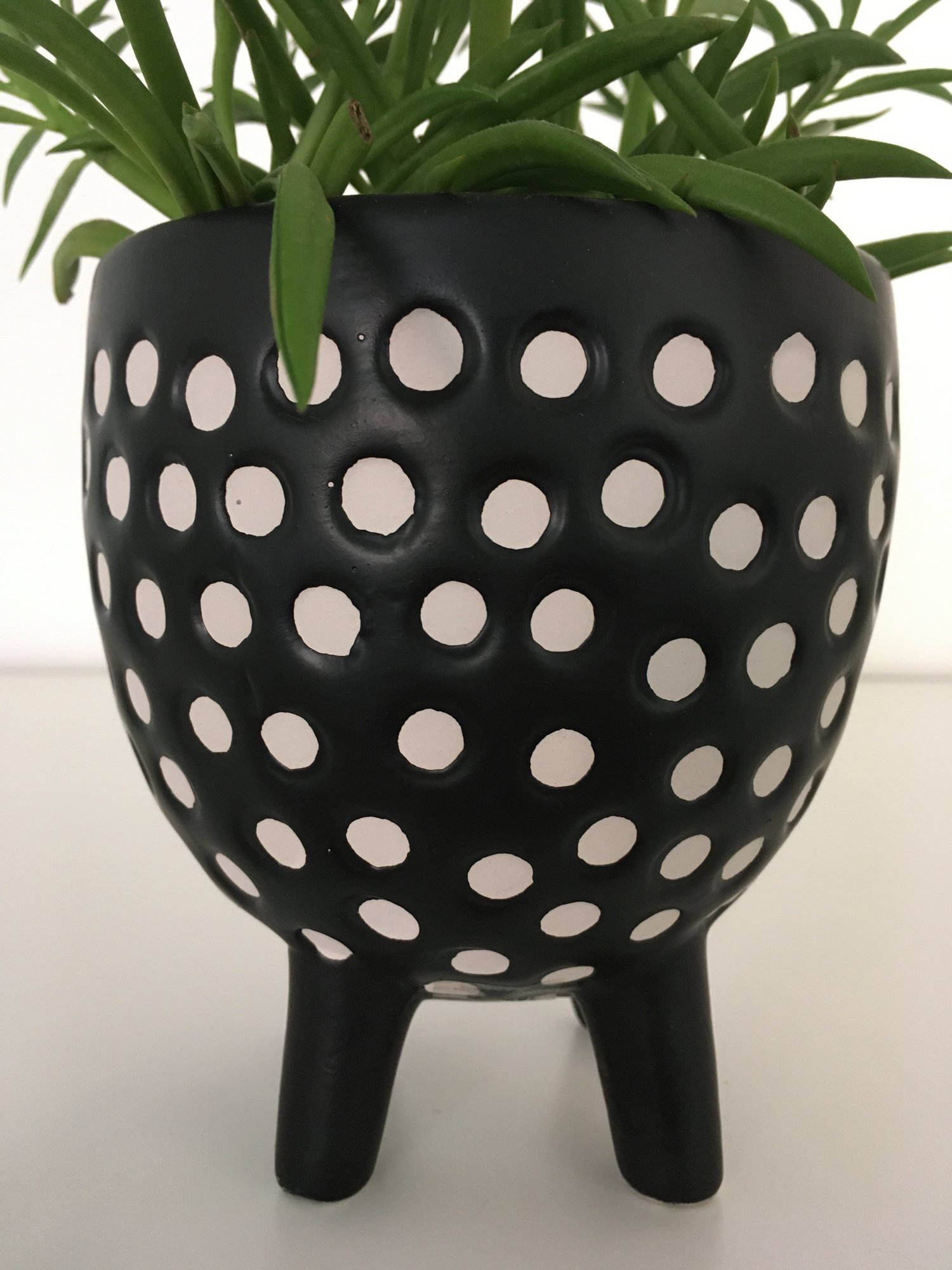 Image of Sass & Belle - Spotted Planter on Legs