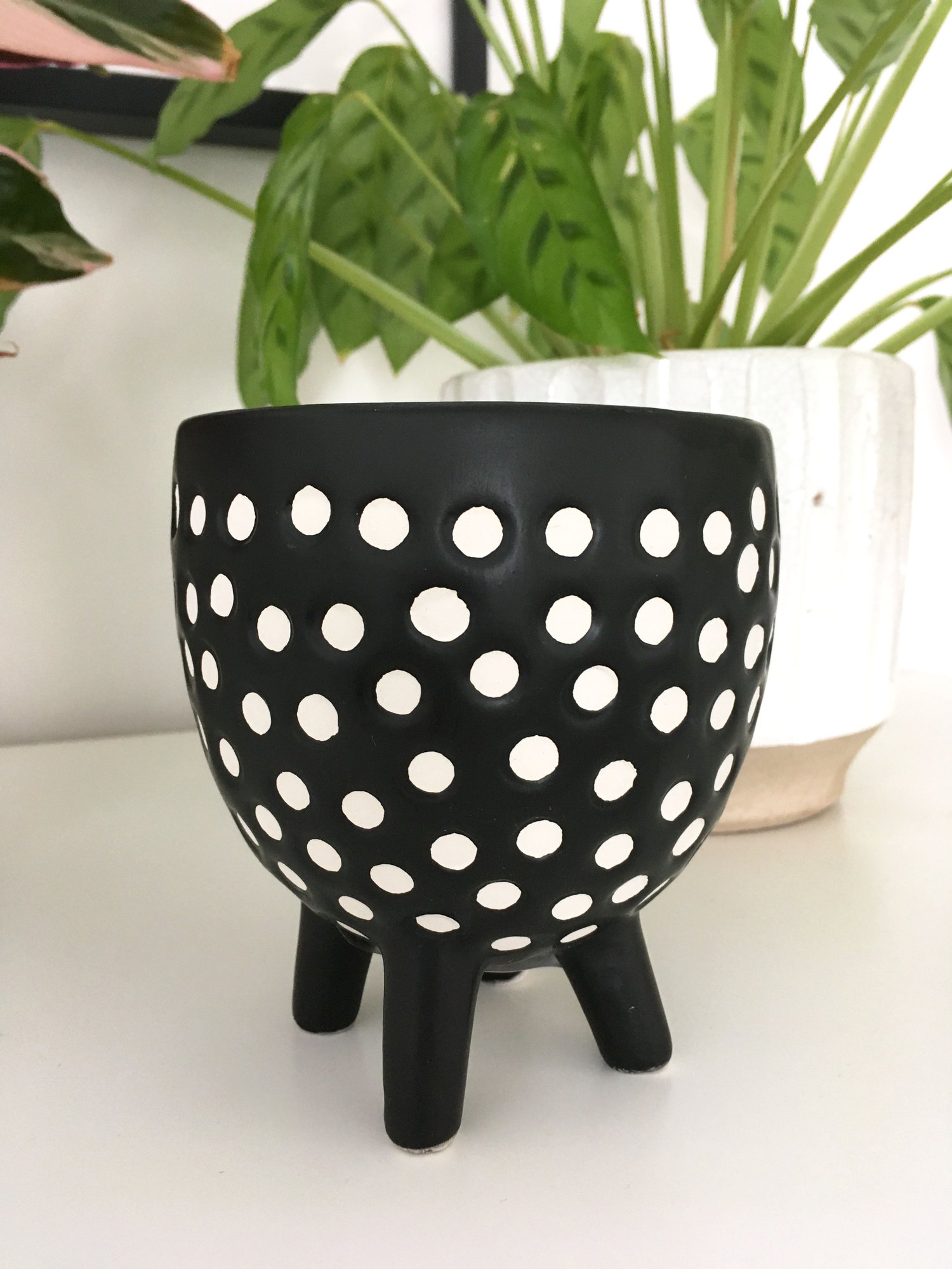 Image of Sass & Belle - Spotted Planter on Legs