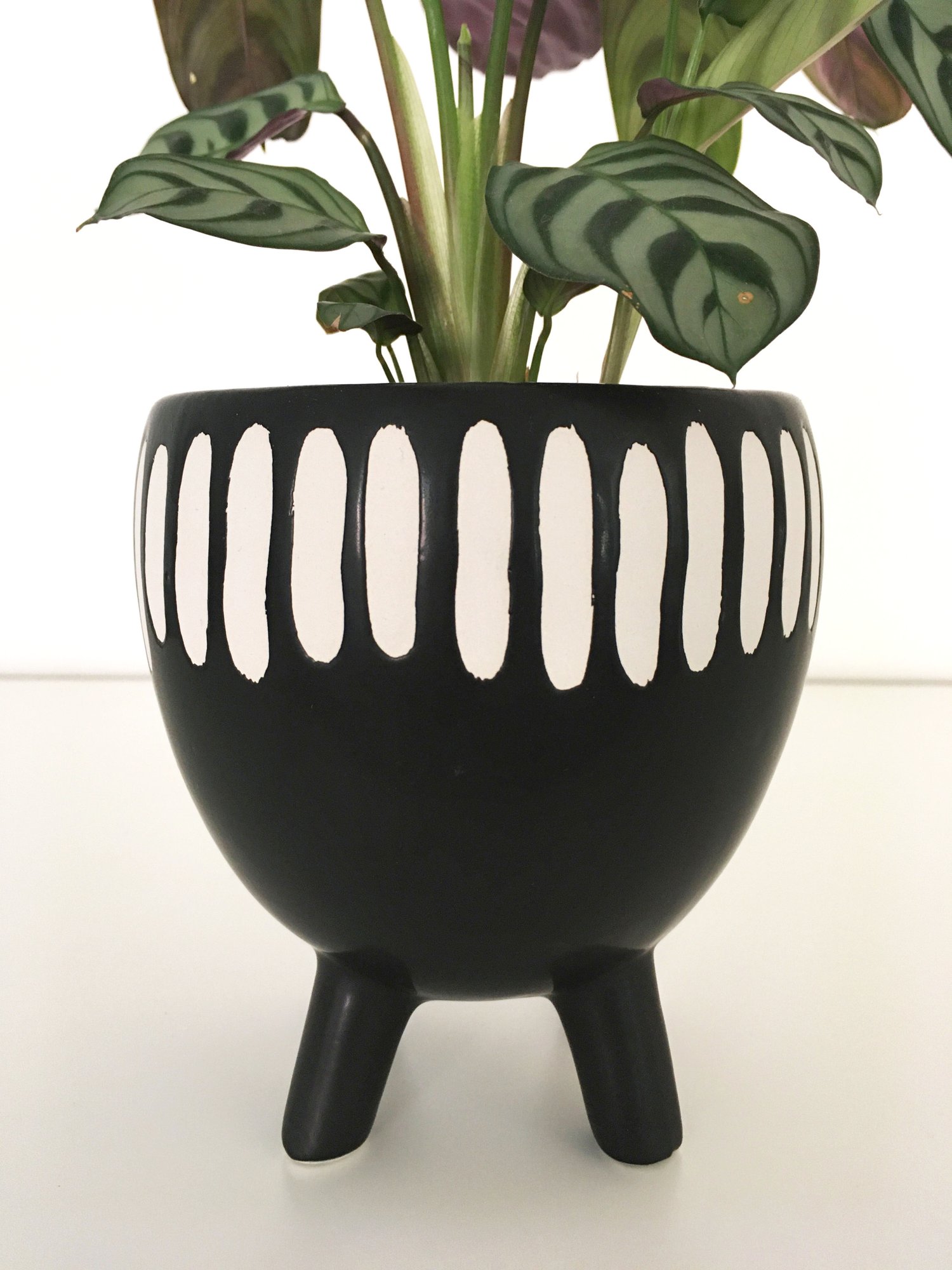 Image of Sass & Belle - Grooved Planter on Legs