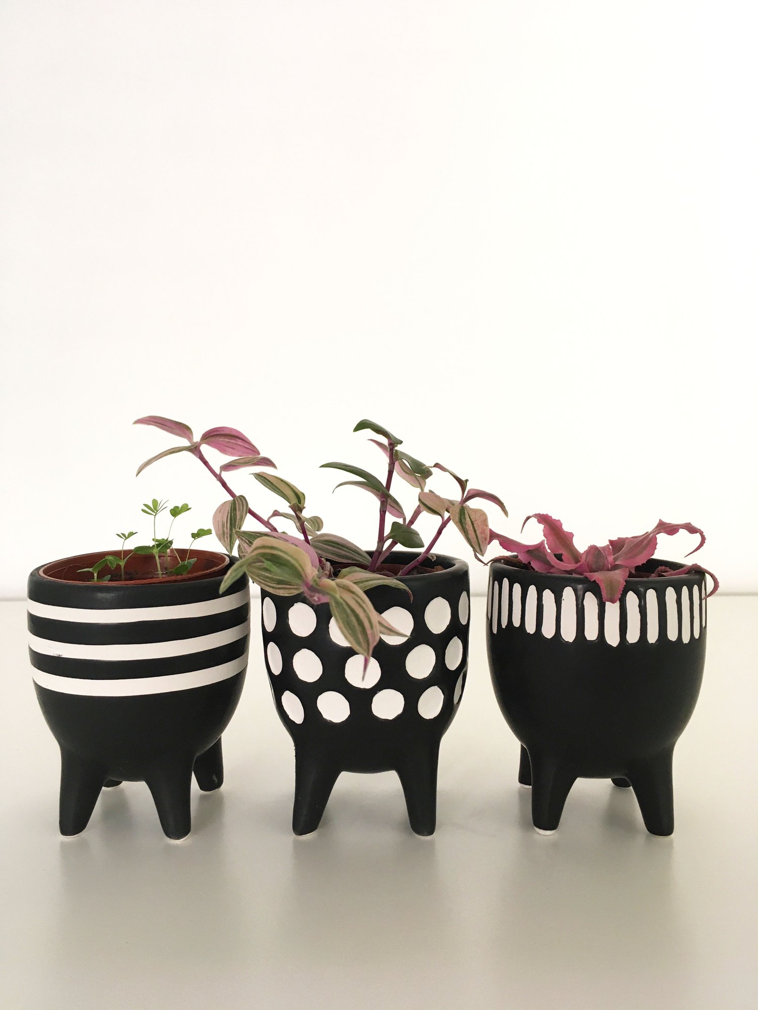 Image of Sass & Belle - Scandi Little Planter on Legs