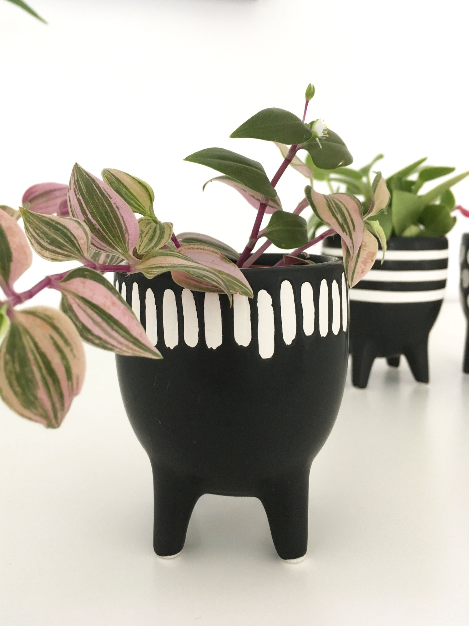 Image of Sass & Belle - Scandi Little Planter on Legs