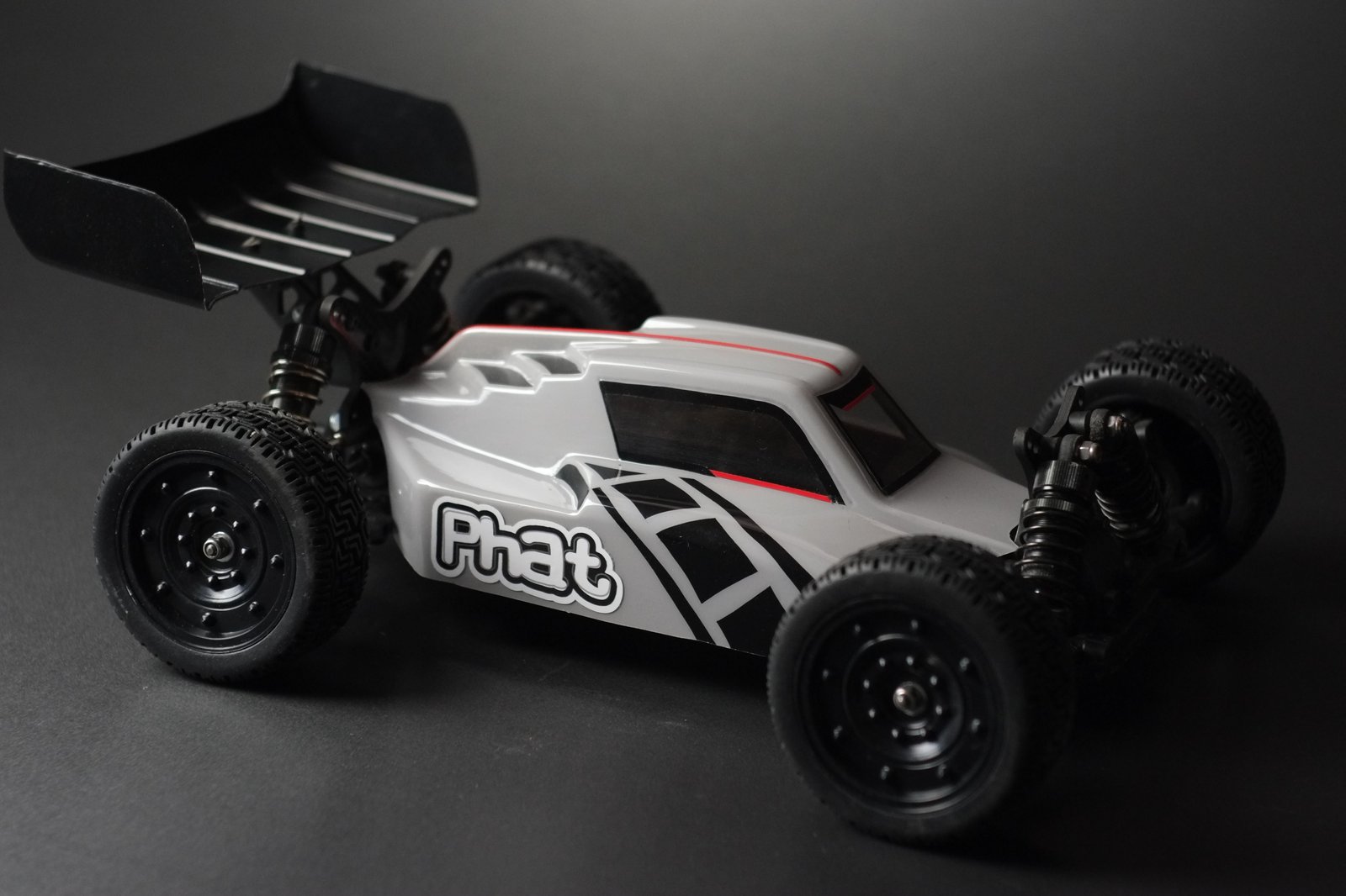 phat bodies rc car