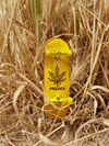 Fingerboard MariJaune 🌿