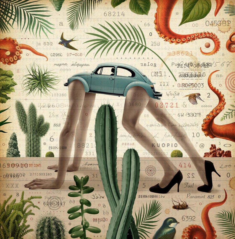 Image of Morph