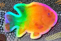 Image 2 of Holographic Garibaldi Sticker