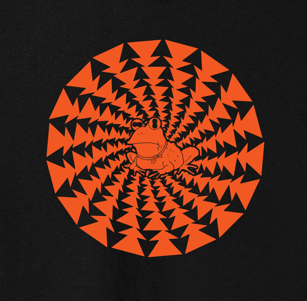 Image of Hypnotoad Orange T Shirt