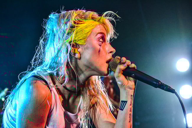 Haley Williams (Paramore)