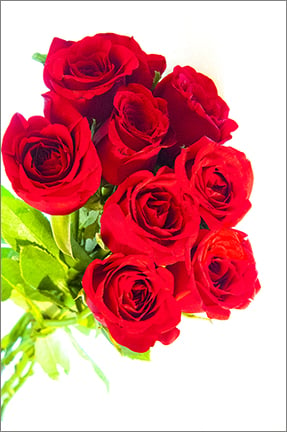 Image of Greeting Card. Red Roses. Classic Flower Collection.