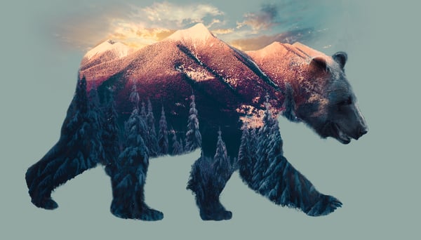Image of BEAR PEAK