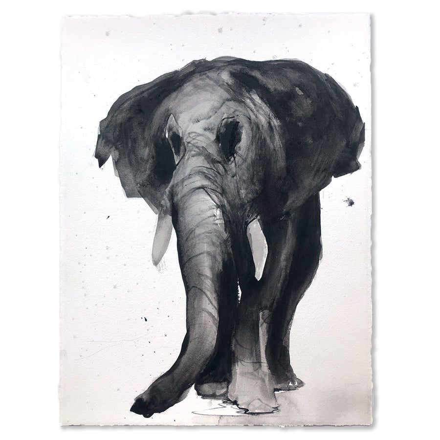 Image of Not so White Elephant #3 / Simon Schrikker