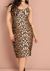 Cheetah Print Silk Dress