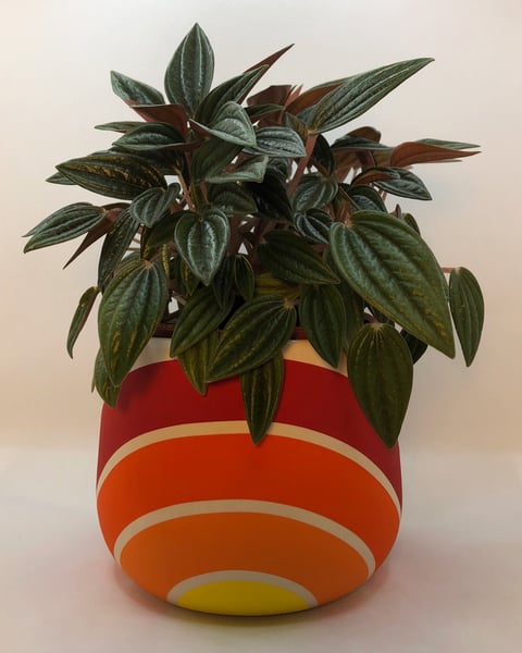 Image of OG Rise Planter