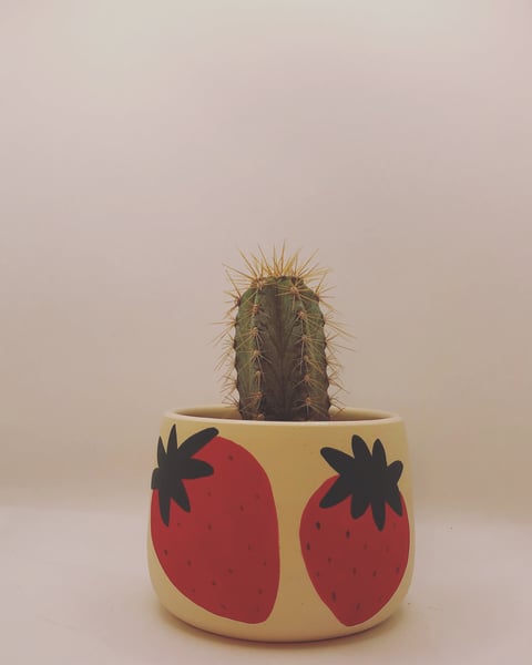 Image of Strawberry Planter 🍓