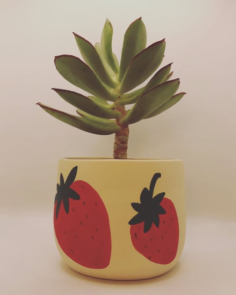 Image of Strawberry Planter 