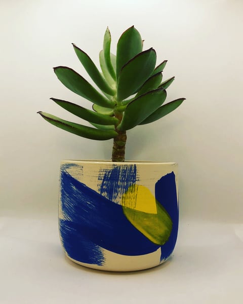 Image of Curaçao Planter 