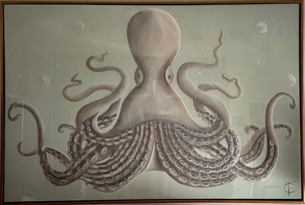 Image of OCTOPUS