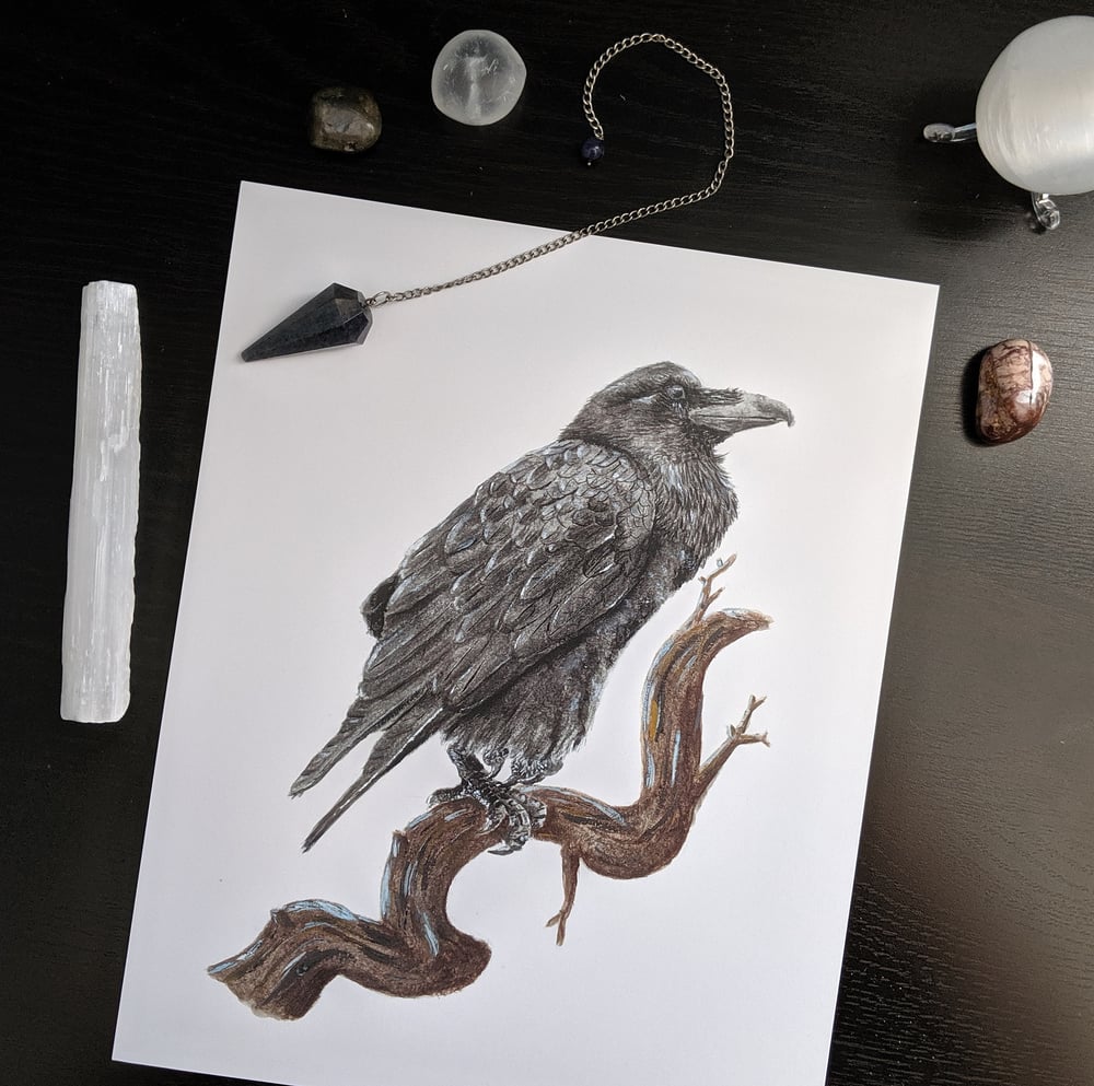 Image of Raven - 8x10 Art Print