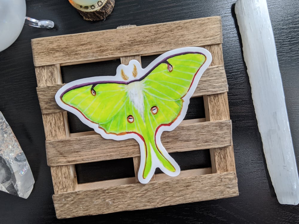 Image of Luna Moth Vinyl Sticker