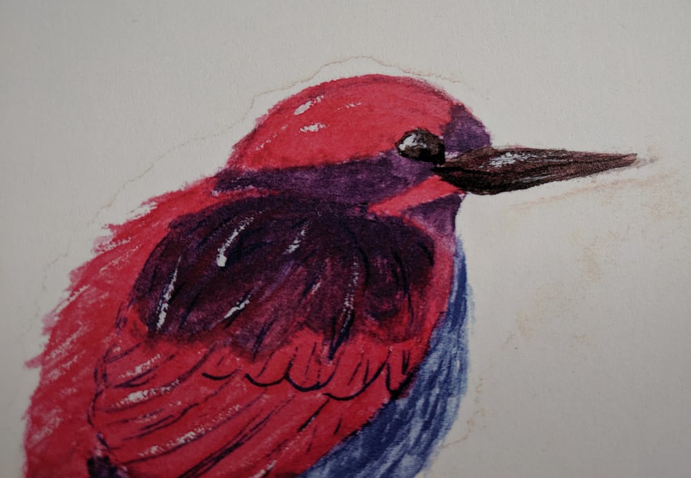 Image of Bisexual Pride Kingfisher 5x7 Prints