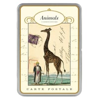 Carte Postale ~ Animals