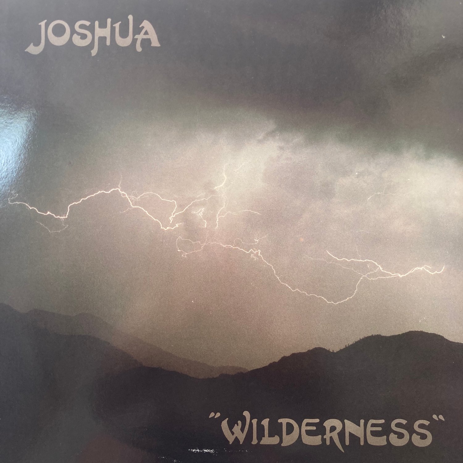 Image of Joshua - Wilderness