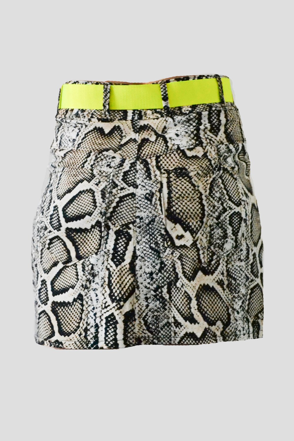 Image of Snake Skirt