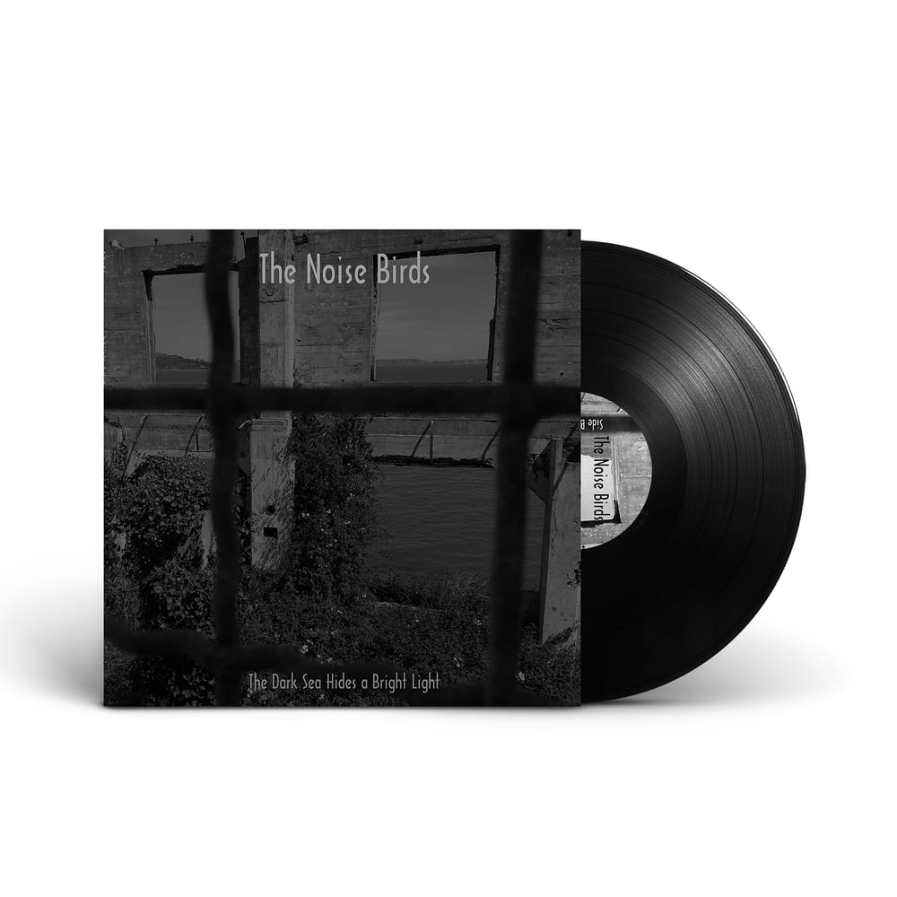 THE NOISE BIRDS 'The Dark Sea Hides A Bright Light' Vinyl LP