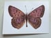 Image of Dorcas Copper 
