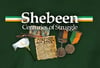 Centuries Of Struggle CD (the best of Shebeen)