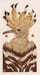 Image of Hoopoe