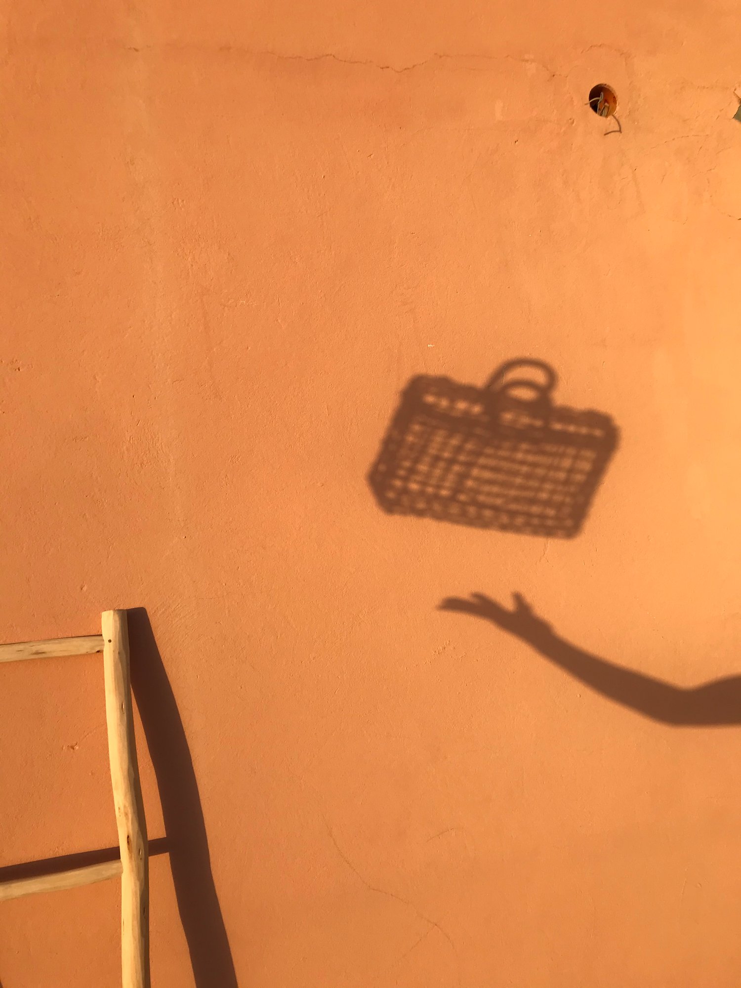 Image of Le Panier Transparent