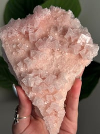Image 3 of XL PINK HALITE -OWENS LAKE- F