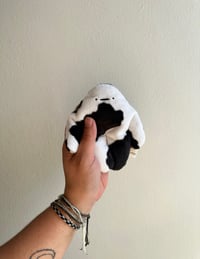 Mini Perfect Cow Bloog