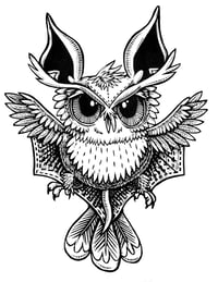 Image 5 of Owl Bat T-shirt  (B3)  **FREE SHIPPING**