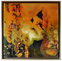 Image 1 of Original Canvas - Spotted Eagle Rays on Yellow Ochre/Black - 60cm x 60cm