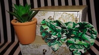 Image 2 of Tropical Monstera Vegan Leather 